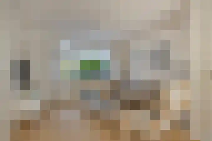 Max Havelaardreef 108 Oosterhout thumbnail 6
