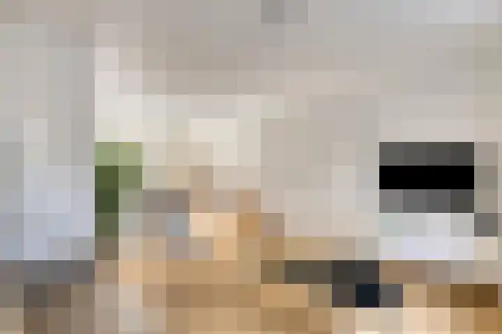 Max Havelaardreef 108 Oosterhout thumbnail 7
