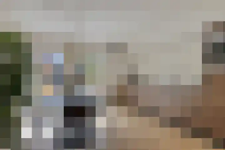 Max Havelaardreef 108 Oosterhout thumbnail 8