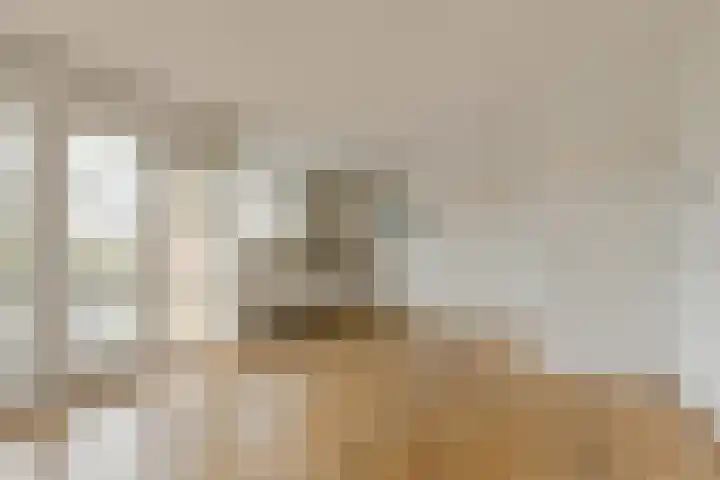 Max Havelaardreef 117 Oosterhout thumbnail 11