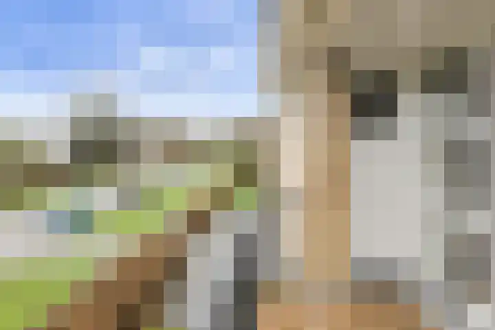Max Havelaardreef 117 Oosterhout thumbnail 34