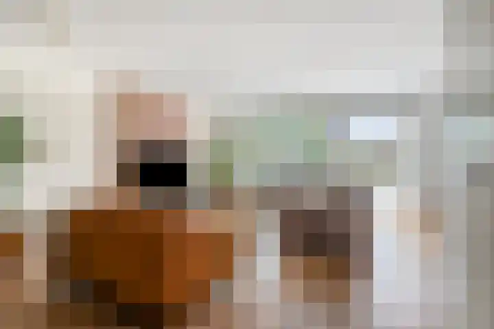 Max Havelaardreef 14 Oosterhout thumbnail 10