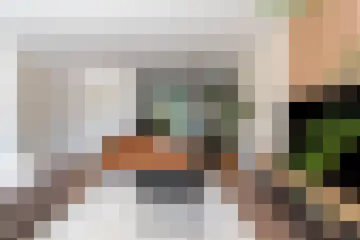 Max Havelaardreef 14 Oosterhout thumbnail 15