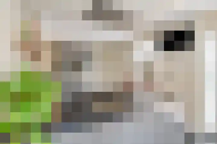 Max Havelaardreef 14 Oosterhout thumbnail 27