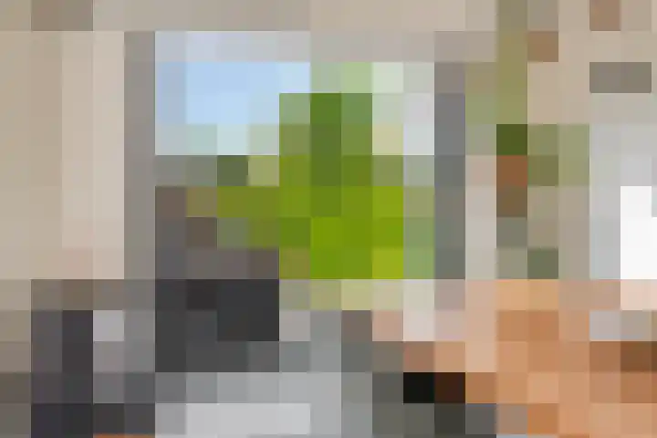 Max Havelaardreef 14 Oosterhout thumbnail 31