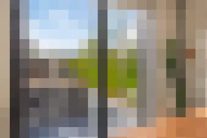 Max Havelaardreef 14 Oosterhout thumbnail 32