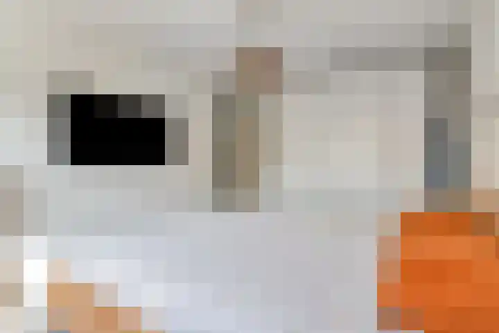 Max Havelaardreef 14 Oosterhout thumbnail 35