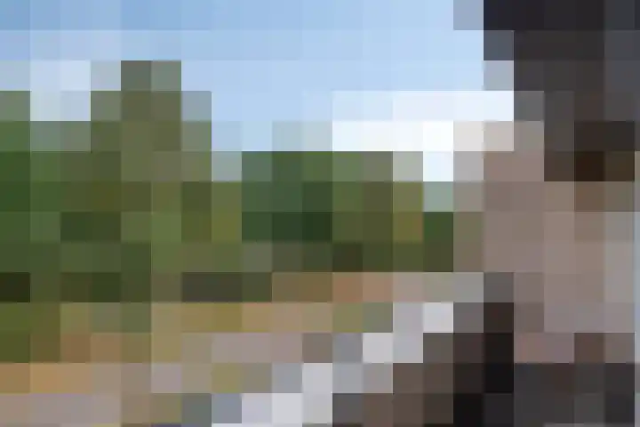 Max Havelaardreef 14 Oosterhout thumbnail 46