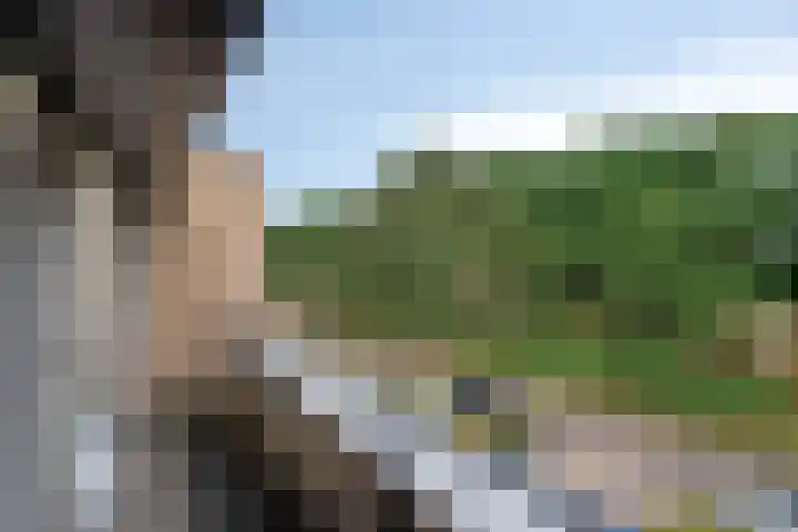 Max Havelaardreef 14 Oosterhout thumbnail 47