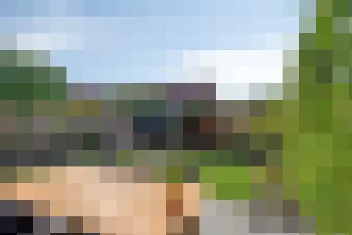 Max Havelaardreef 14 Oosterhout thumbnail 5