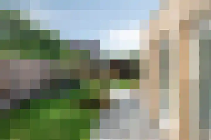 Max Havelaardreef 14 Oosterhout thumbnail 53