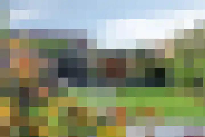 Max Havelaardreef 14 Oosterhout thumbnail 58