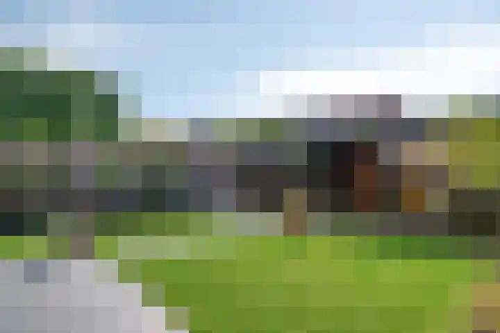 Max Havelaardreef 14 Oosterhout thumbnail 64