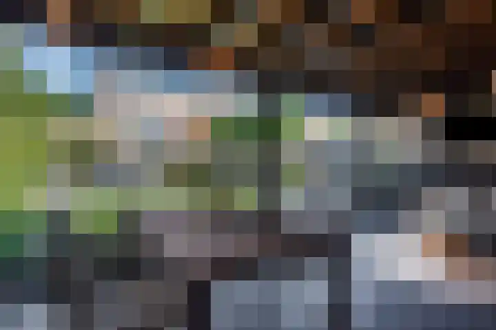 Max Havelaardreef 14 Oosterhout thumbnail 68