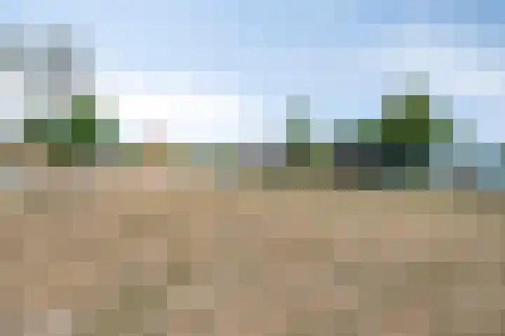 Max Havelaardreef 14 Oosterhout thumbnail 71