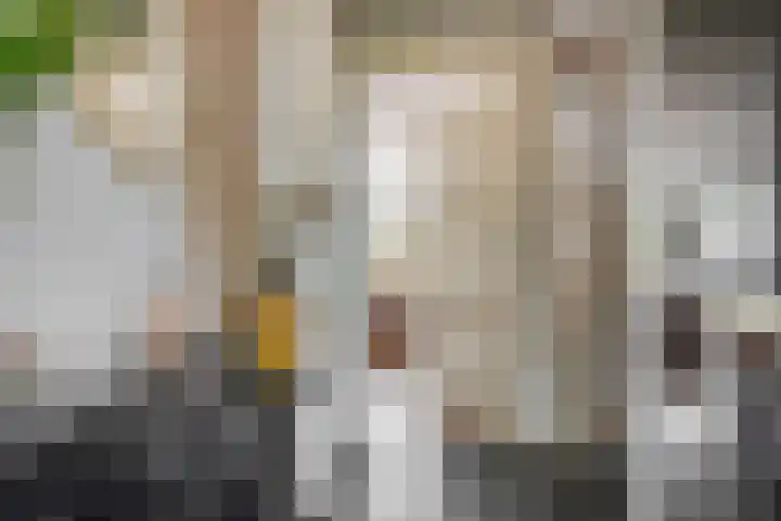 Max Havelaardreef 14 Oosterhout thumbnail 9