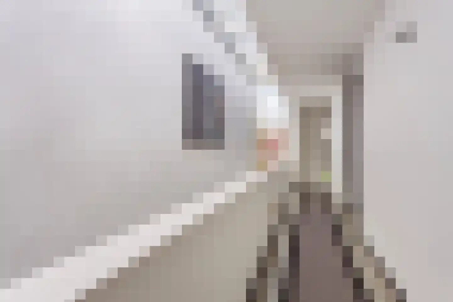 Max Havelaardreef 176 Oosterhout thumbnail 18