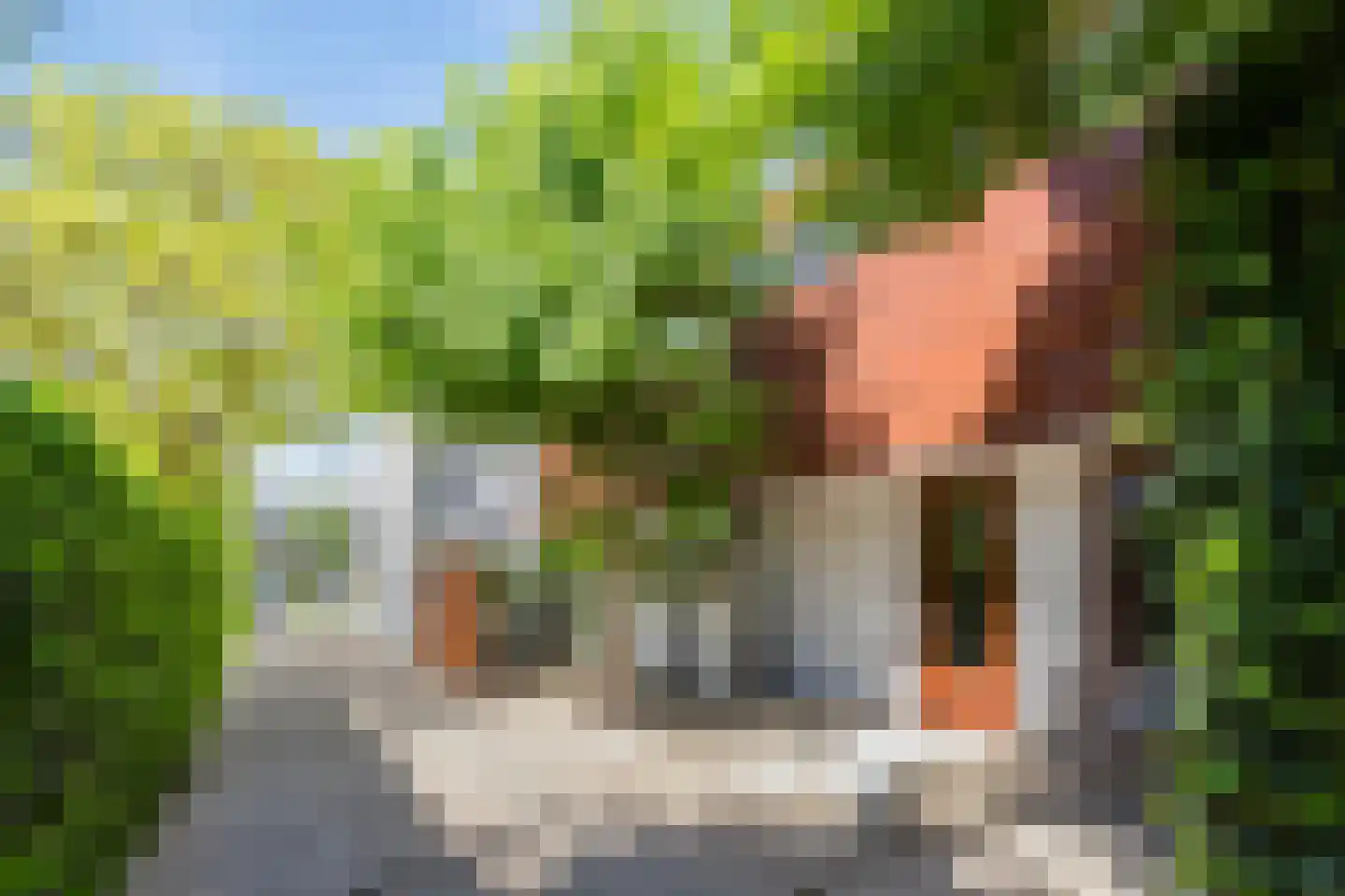 Max Havelaardreef 176 Oosterhout thumbnail 33