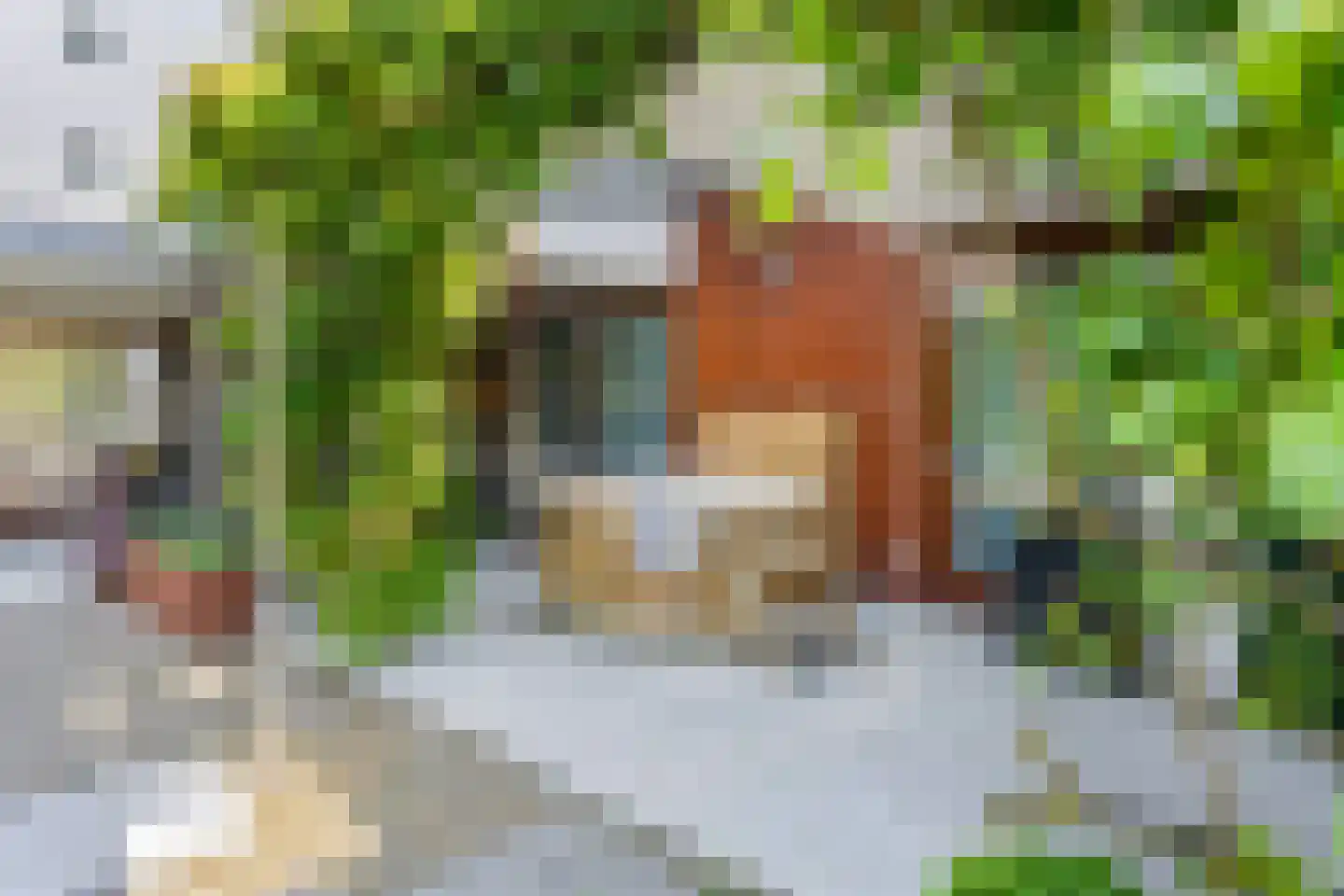 Max Havelaardreef 176 Oosterhout thumbnail 47