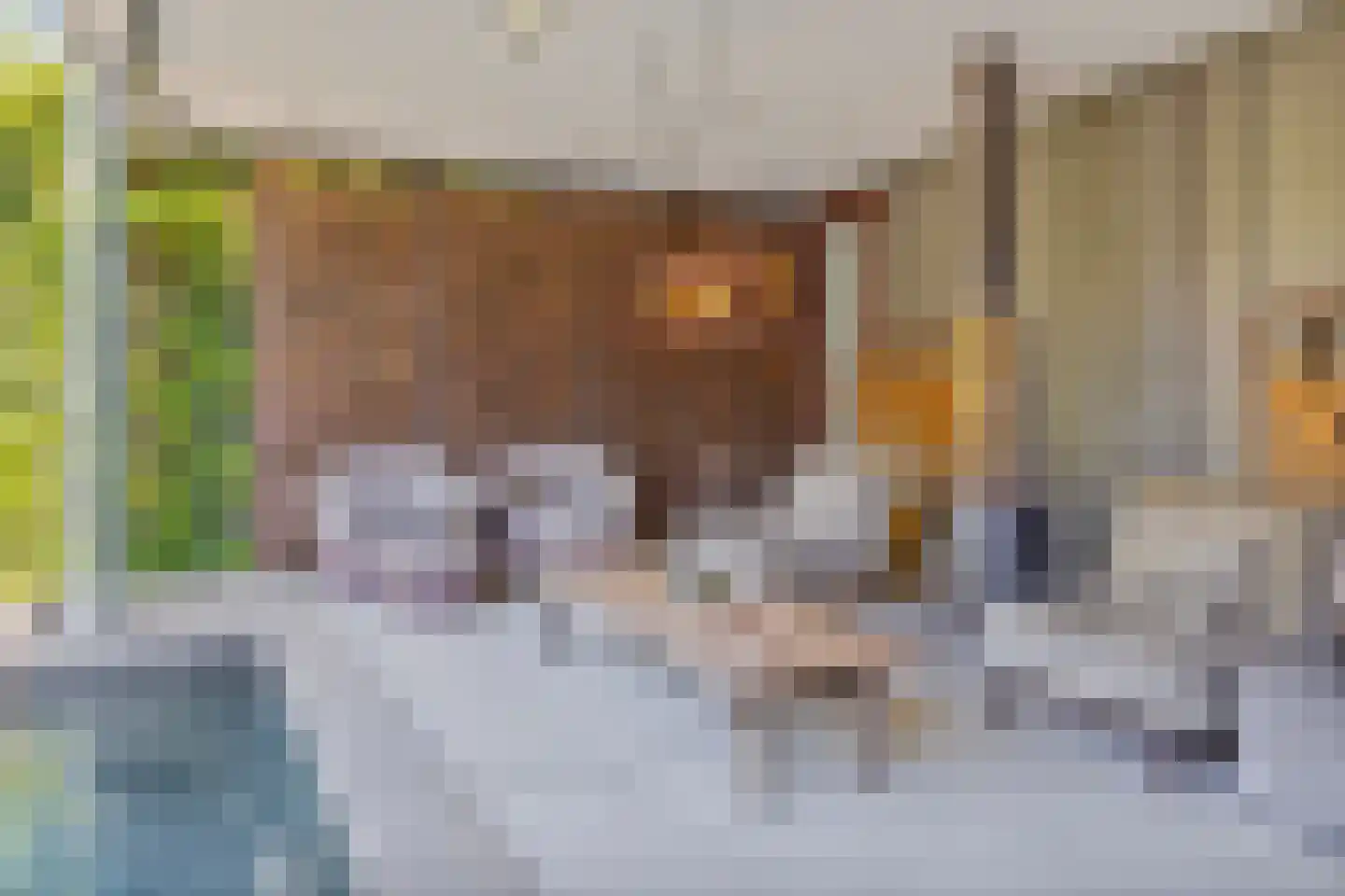 Max Havelaardreef 176 Oosterhout thumbnail 51