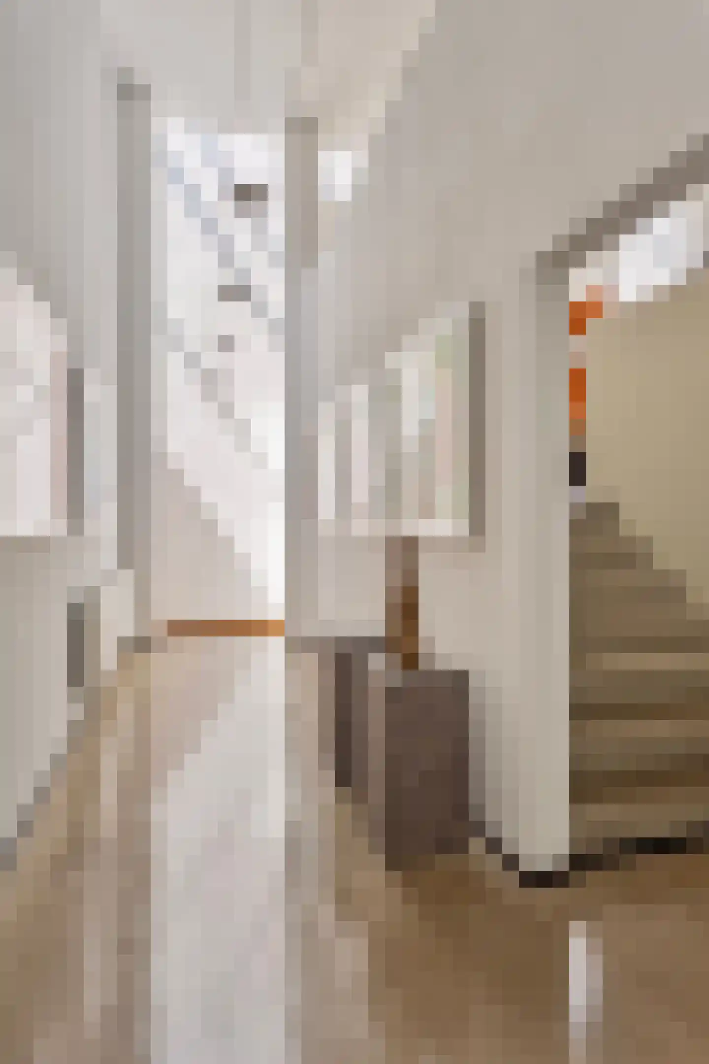 Max Havelaardreef 176 Oosterhout thumbnail 6