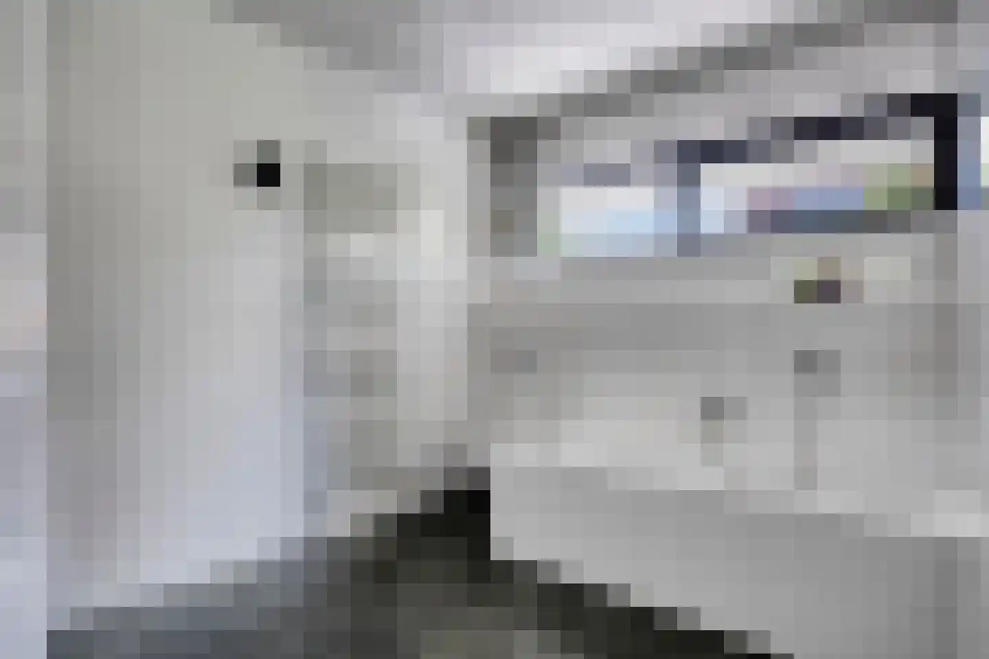 Max Havelaardreef 184 Oosterhout thumbnail 16