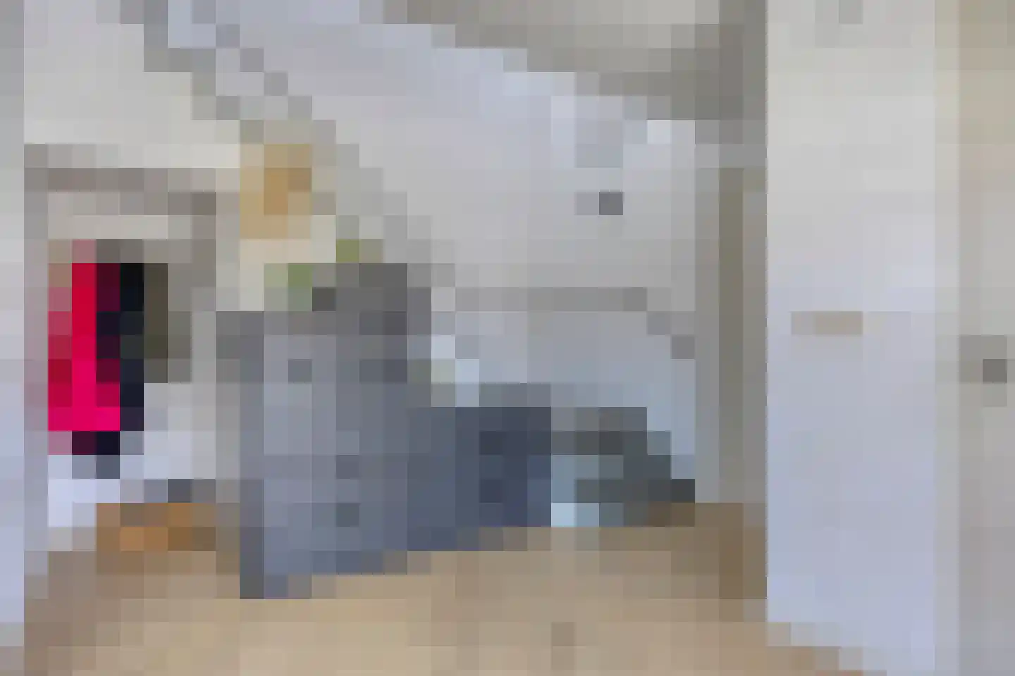 Max Havelaardreef 184 Oosterhout thumbnail 20