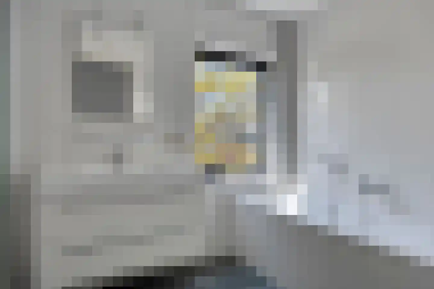 Max Havelaardreef 184 Oosterhout thumbnail 30