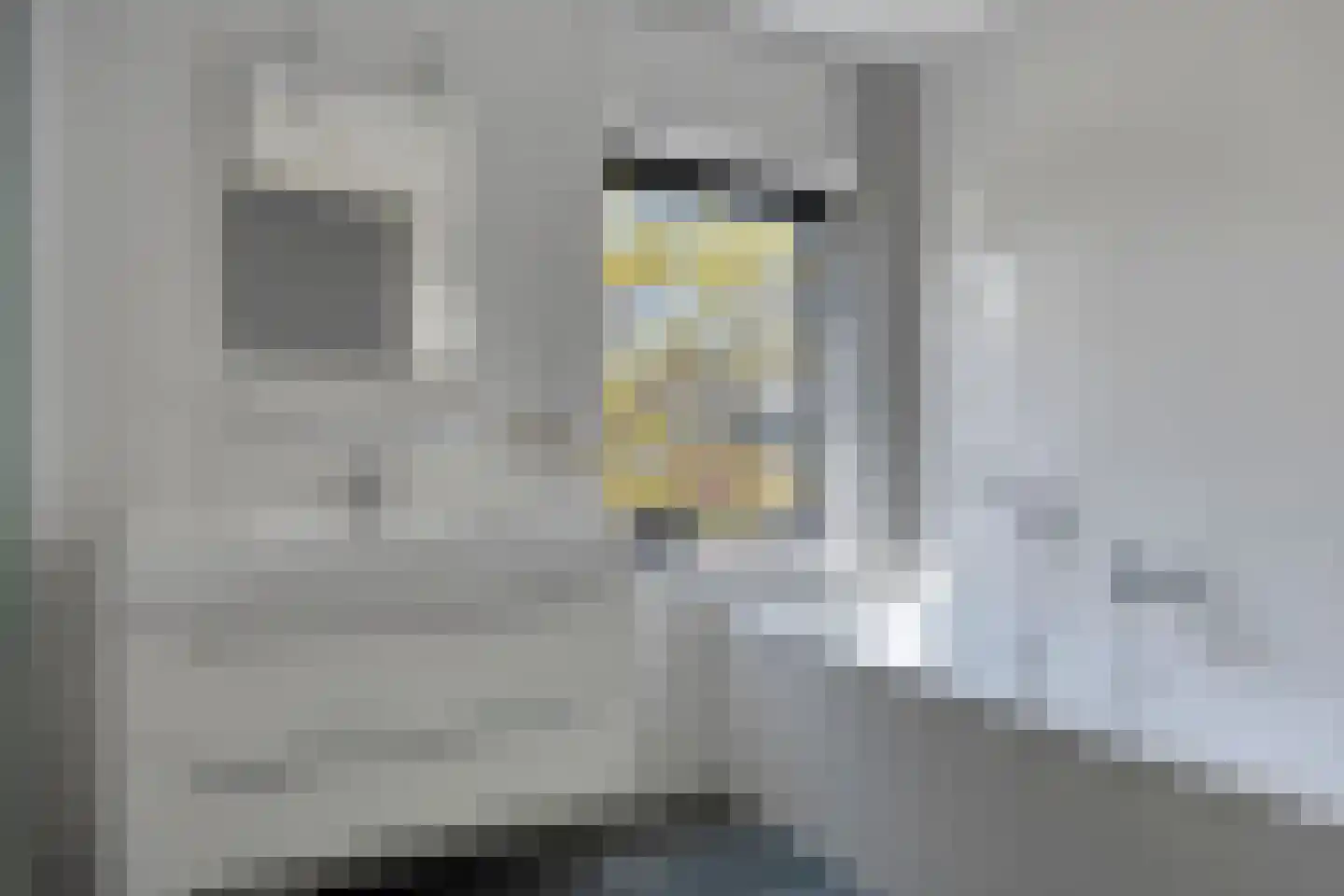 Max Havelaardreef 184 Oosterhout thumbnail 30