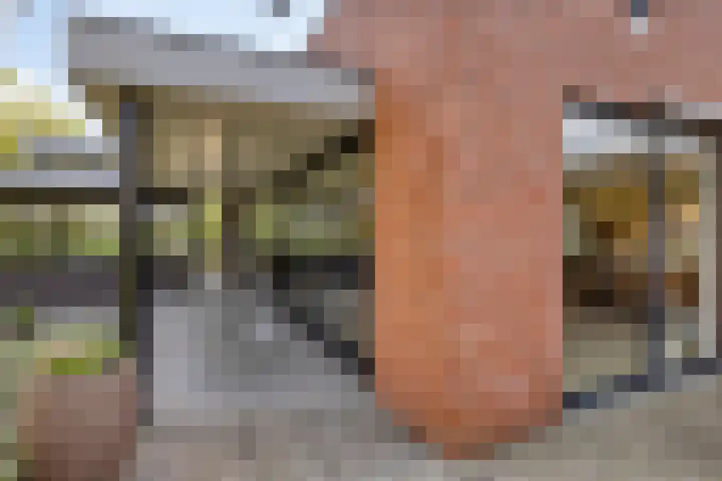 Max Havelaardreef 184 Oosterhout thumbnail 36