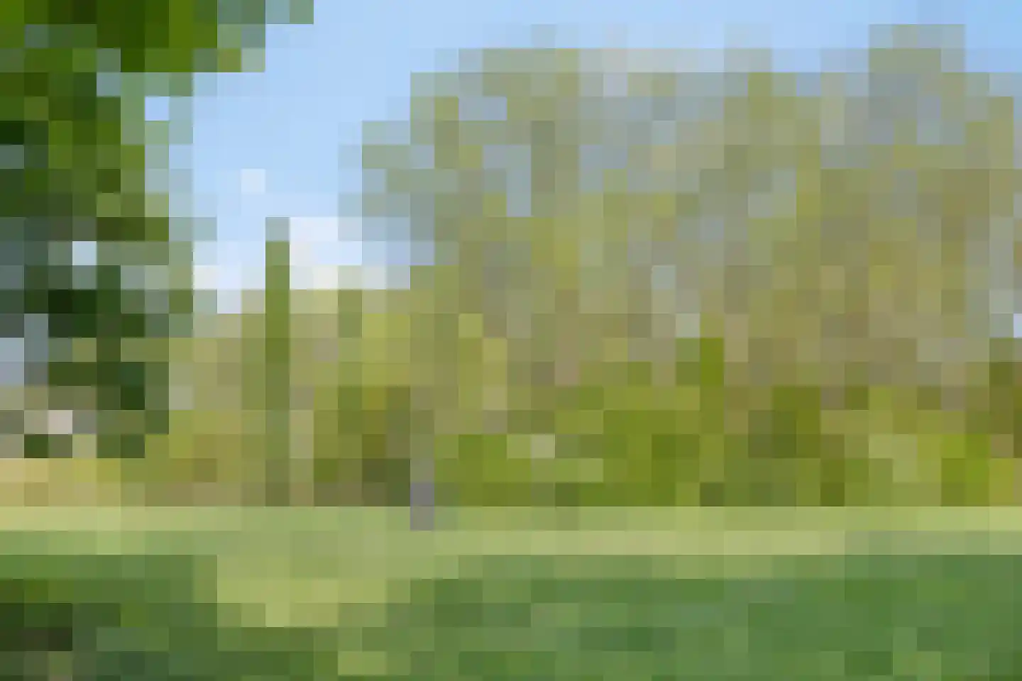 Max Havelaardreef 184 Oosterhout thumbnail 67