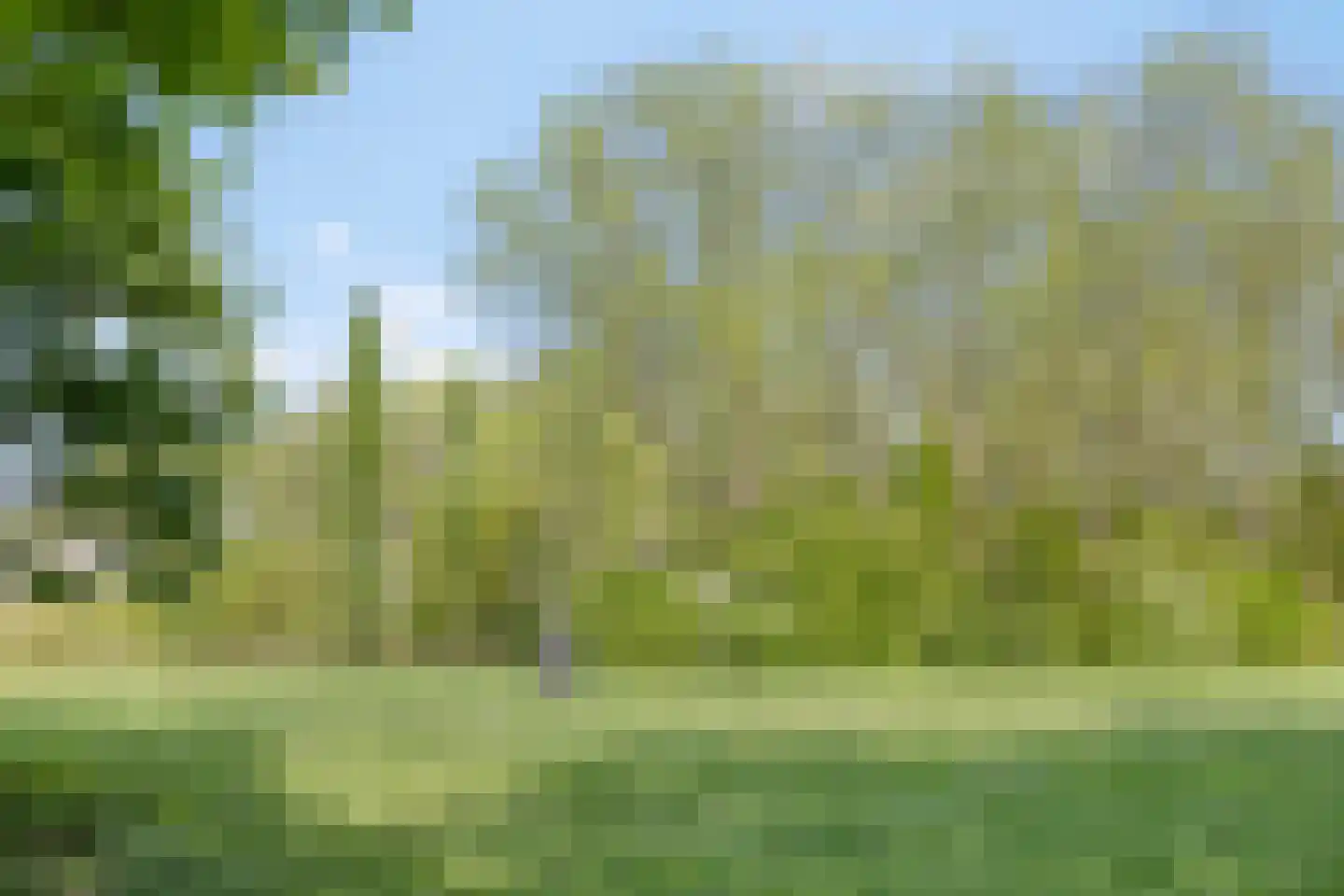 Max Havelaardreef 184 Oosterhout thumbnail 67