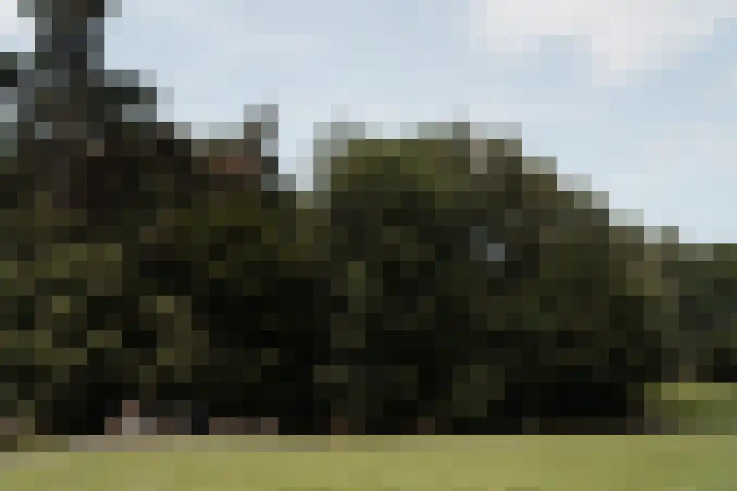 Max Havelaarlaan 109 Amstelveen thumbnail 39