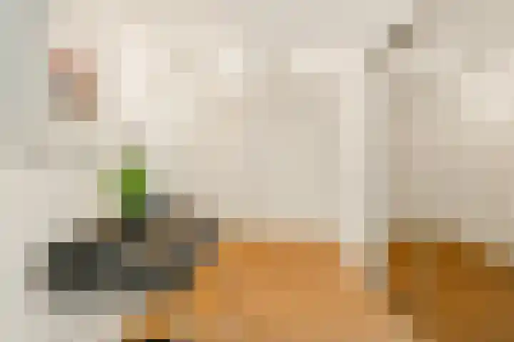 Max Havelaarlaan 161 Amstelveen thumbnail 22