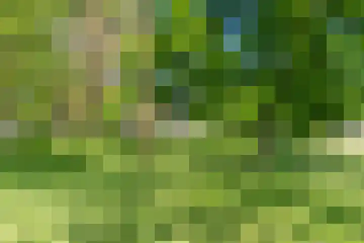 Max Havelaarlaan 161 Amstelveen thumbnail 34