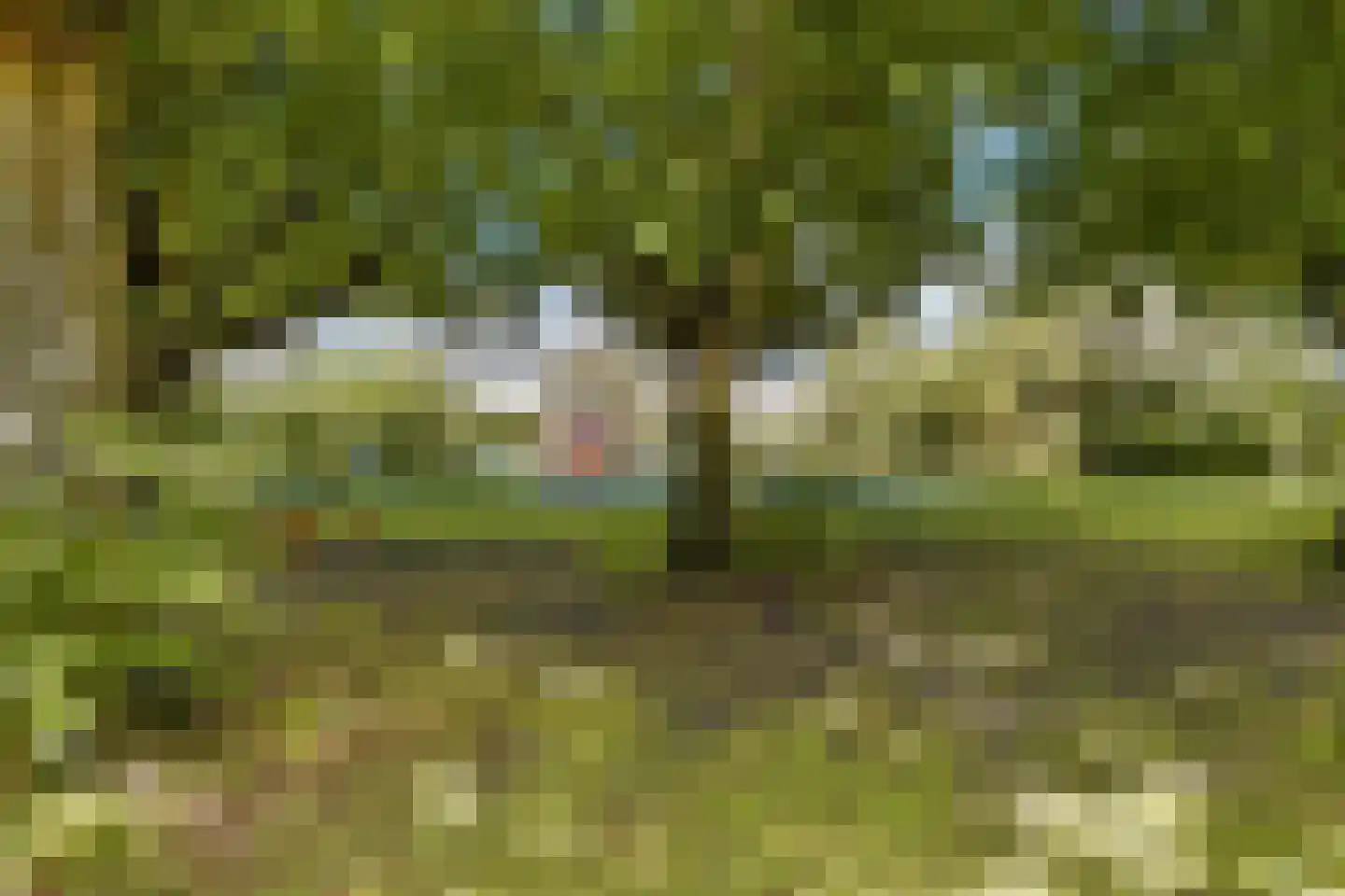 Max Havelaarlaan 197 Amstelveen thumbnail 29
