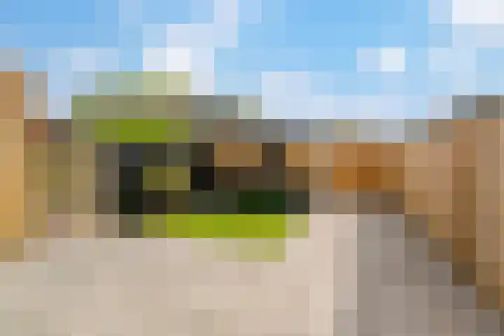 Max Havelaarlaan 36 Amstelveen thumbnail 13