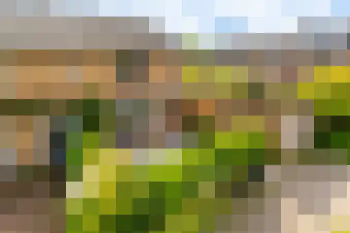 Max Havelaarlaan 36 Amstelveen thumbnail 29