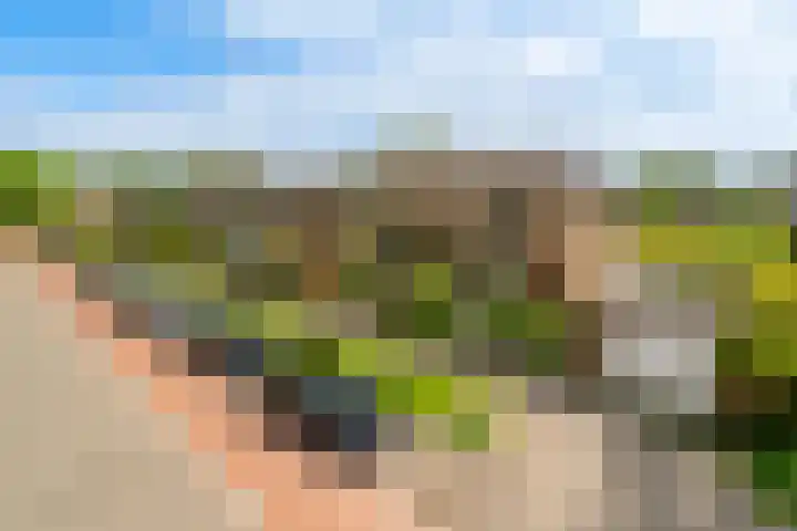 Max Havelaarlaan 36 Amstelveen thumbnail 31