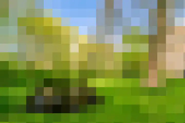 Max Havelaarlaan 36 Amstelveen thumbnail 34