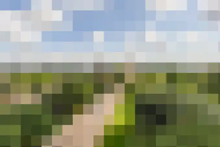 Max Havelaarlaan 409 A Amstelveen thumbnail 6