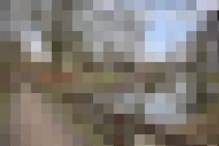 Max Havelaarlaan 513 Amstelveen thumbnail 20