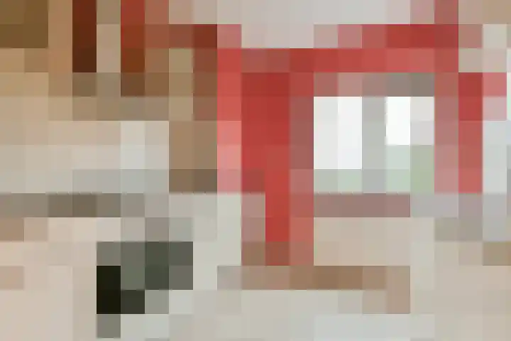 Max Havelaarlaan 557 Amstelveen thumbnail 13