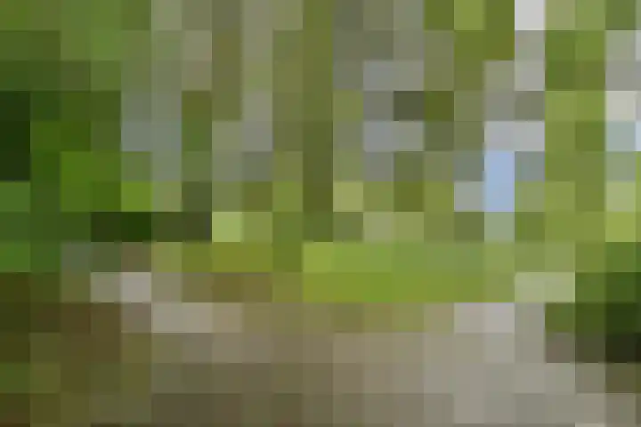 Max Havelaarlaan 557 Amstelveen thumbnail 20