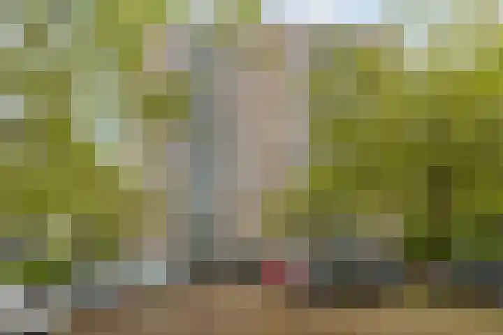 Max Havelaarlaan 611 Amstelveen thumbnail 16
