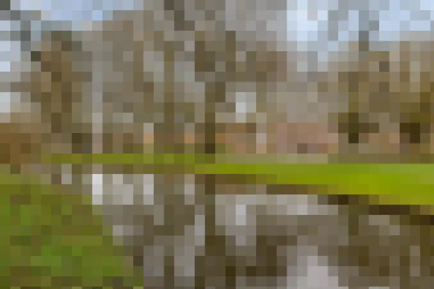 Max Havelaarlaan 625 Amstelveen thumbnail 18