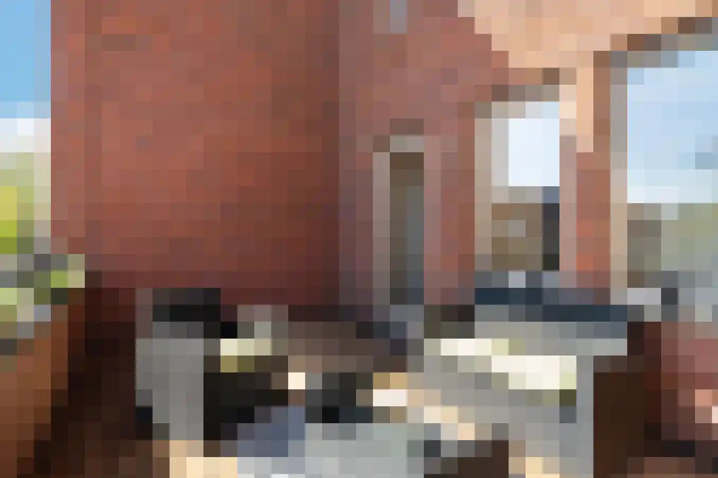 Max Havelaarstraat 65 Den Haag thumbnail 41