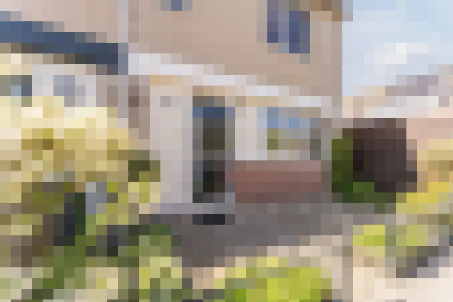 Max Havelaarstraat 7 Zaandam thumbnail 8