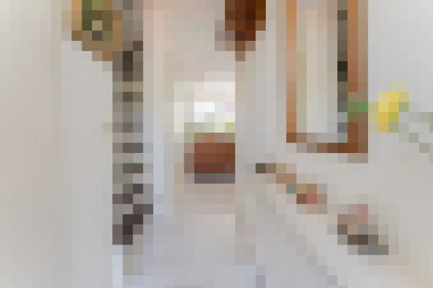 Max Havelaarstraat 7 Zaandam thumbnail 9