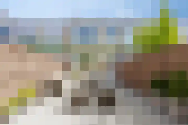 Max Havelaarweg 114 Hoogvliet Rotterdam thumbnail 13